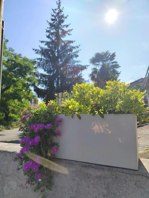 Studio Apartman Tadic Matulji Dış mekan fotoğraf